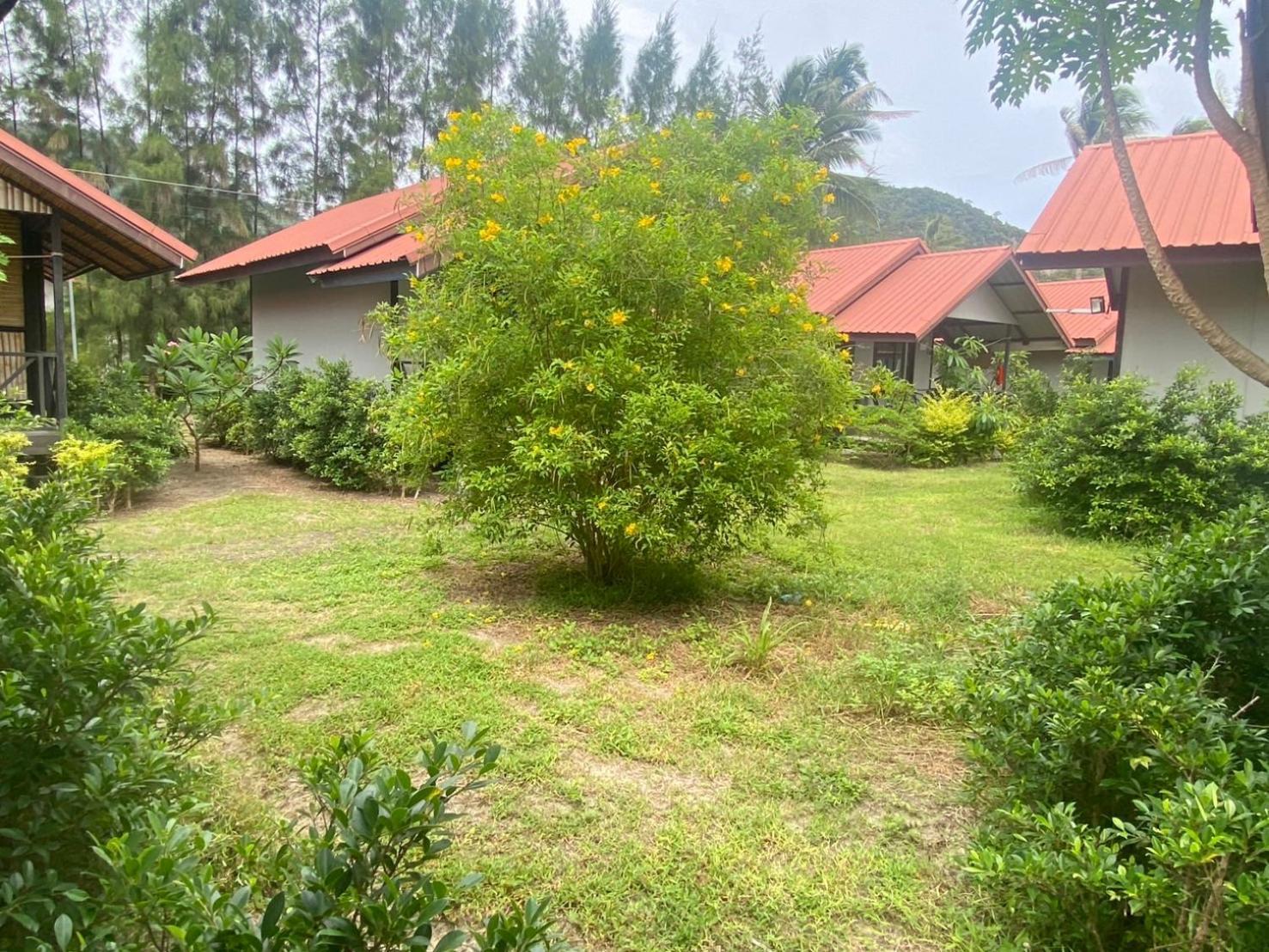 Phangan Chalet Bungalow & House Chaloklum Luaran gambar